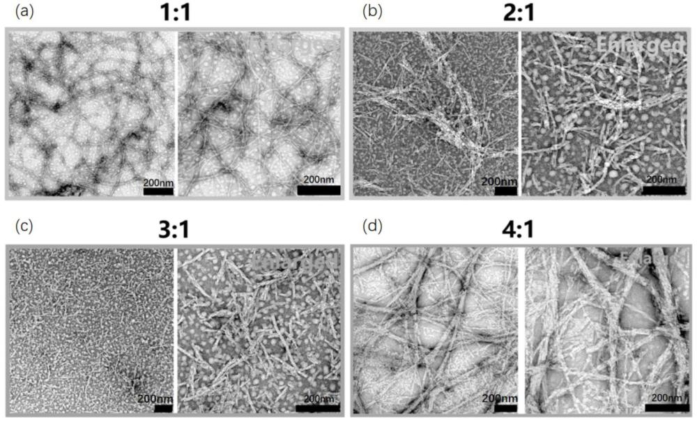 一种生物活性溶液及其应用